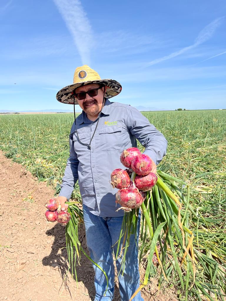 The future of onion is here annual onion week tour in Brawley USA