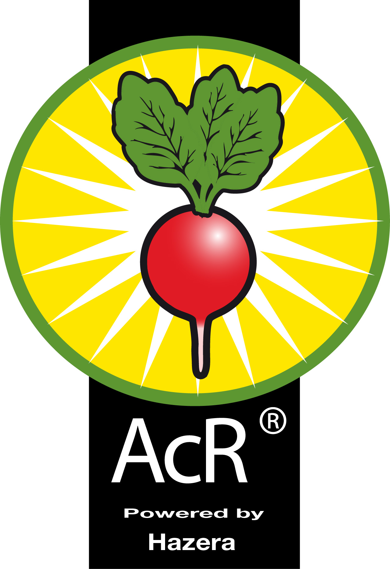 AcR logo® Radish Hazera